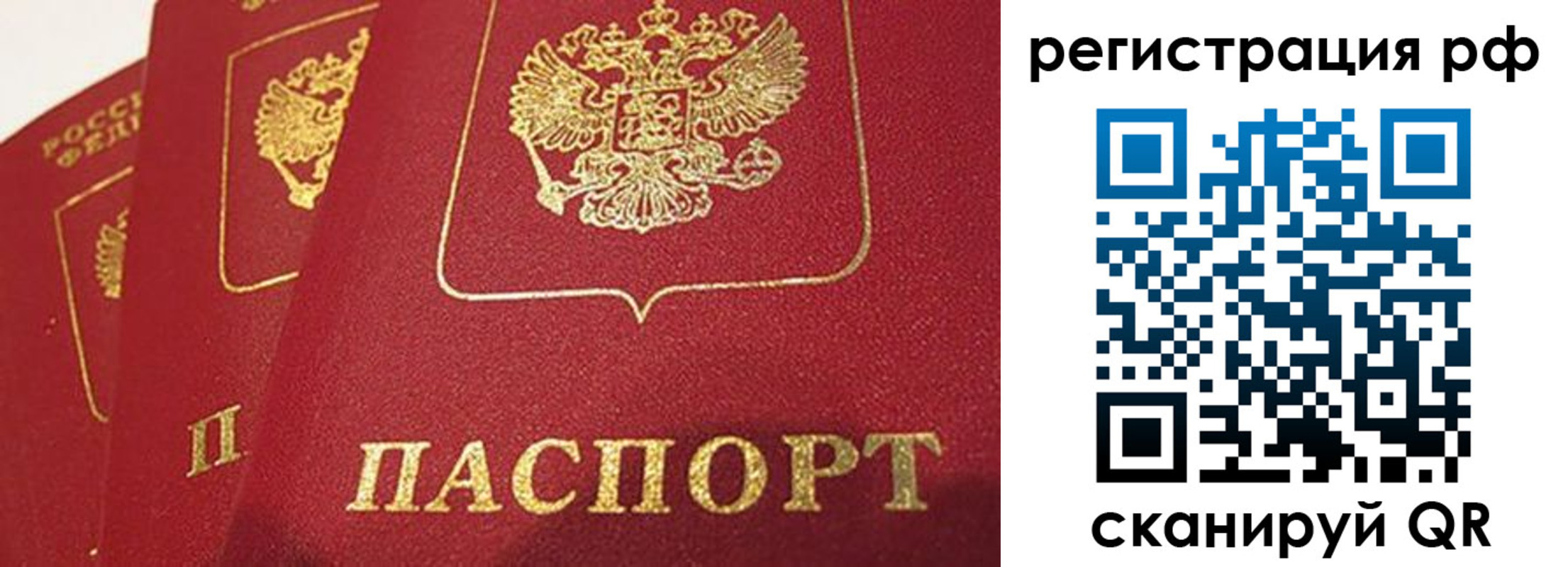 прописка в квартире в Стародубе